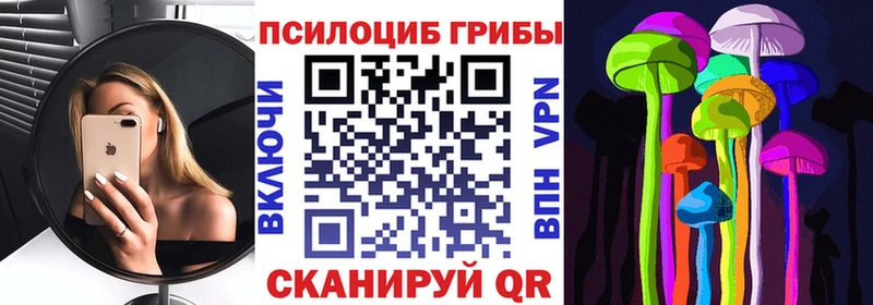mega как зайти Углич Галлюциногенные грибы Psilocybine cubensis